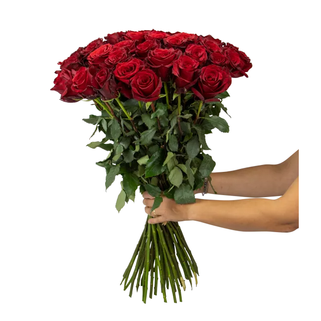 Bouquet of Ecuadorian roses 80 cm